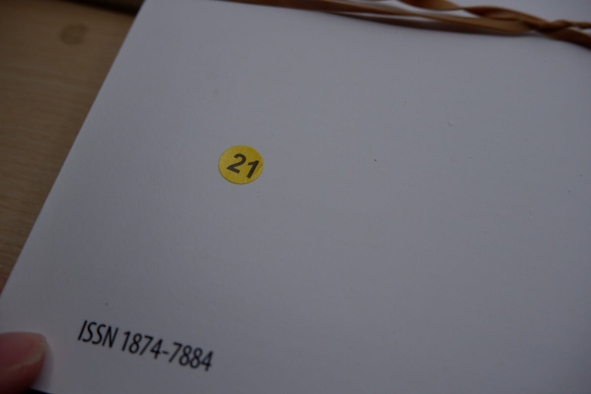 Image #8