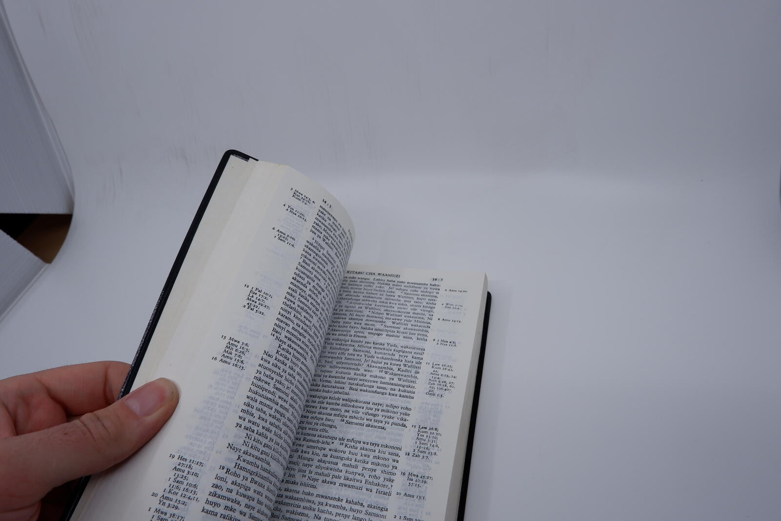 Image #4