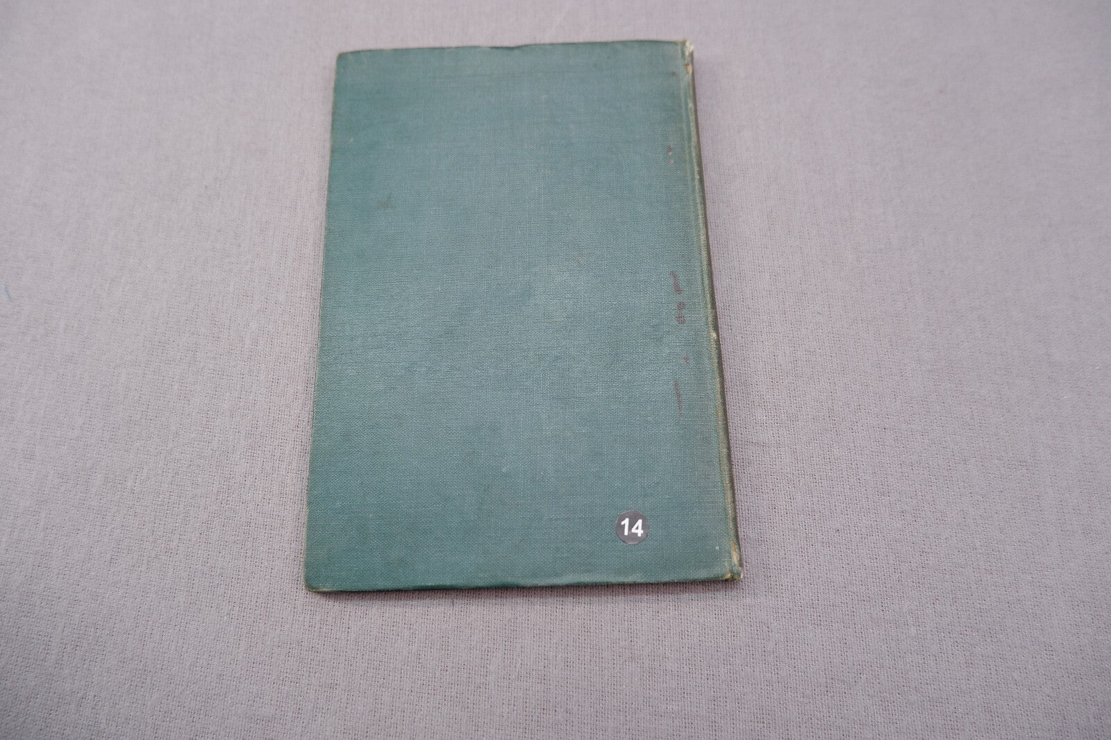 Image #6