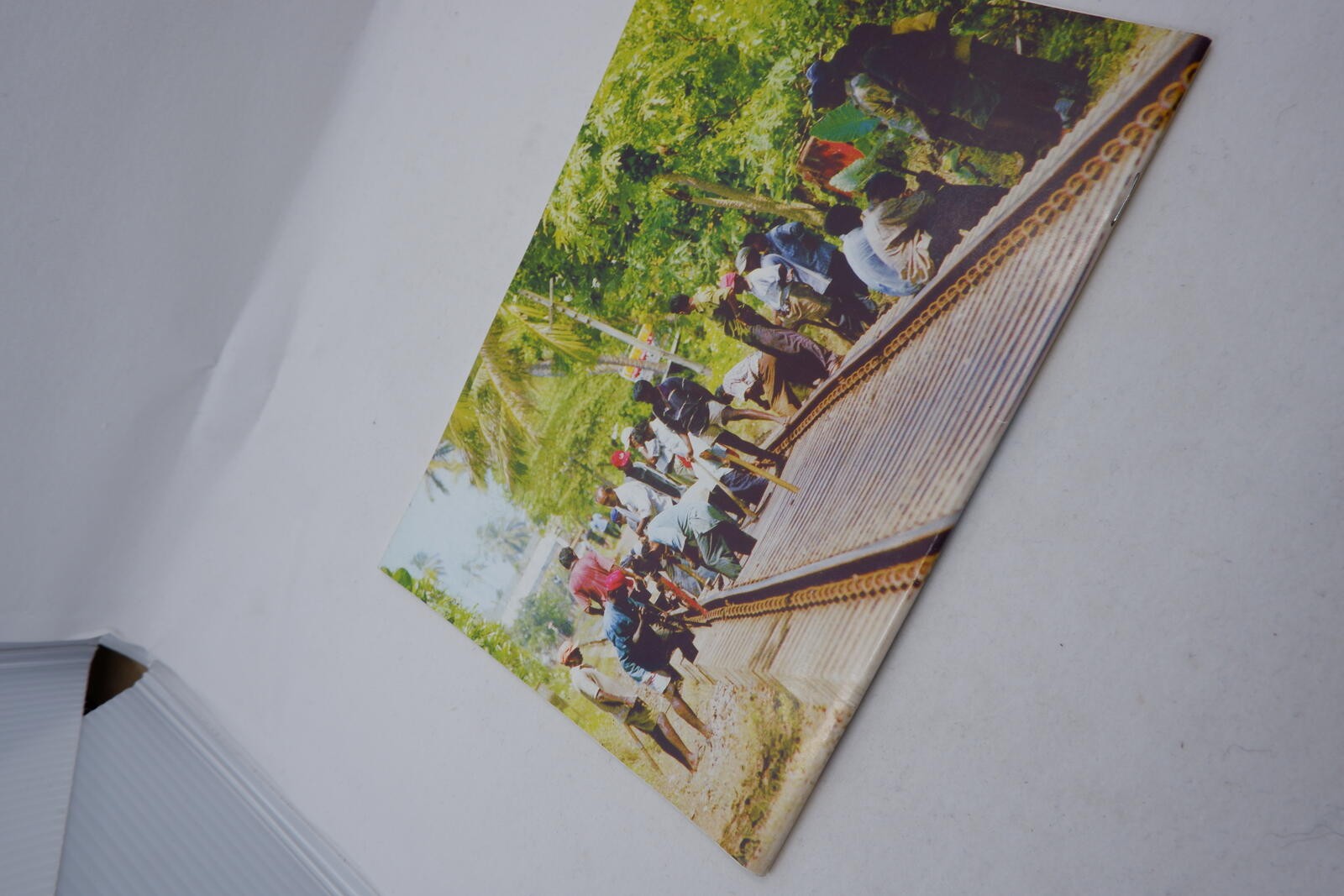 Image #2